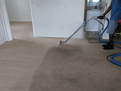 Carpet Cleaning SWFL
