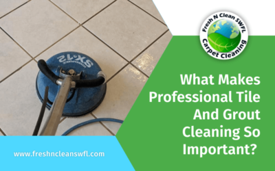 What Makes Professional Tile And Grout Cleaning So Important?