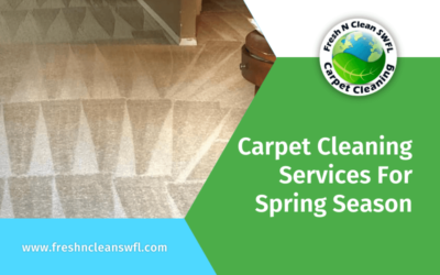 Carpet Cleaning Services For Spring Season