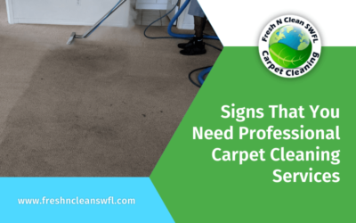 Signs That You Need Professional Carpet Cleaning Services
