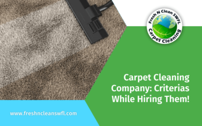 Carpet Cleaning Company: Criterias While Hiring Them!