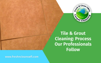 Tile and Grout Cleaning: Process Our Professionals Follow