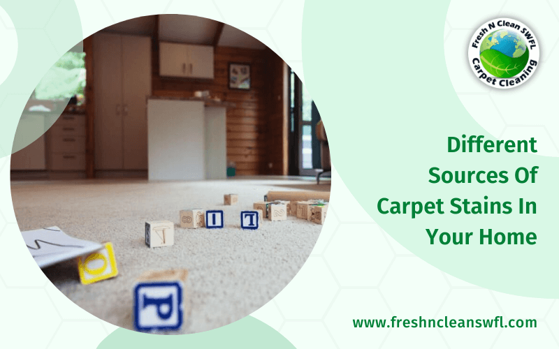 Different Sources Of Carpet Stains In Your Home
