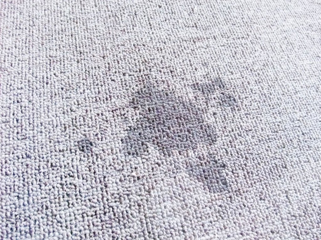 water stain on the carpet
