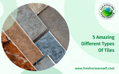 5 Amazing Different Types Of Tiles