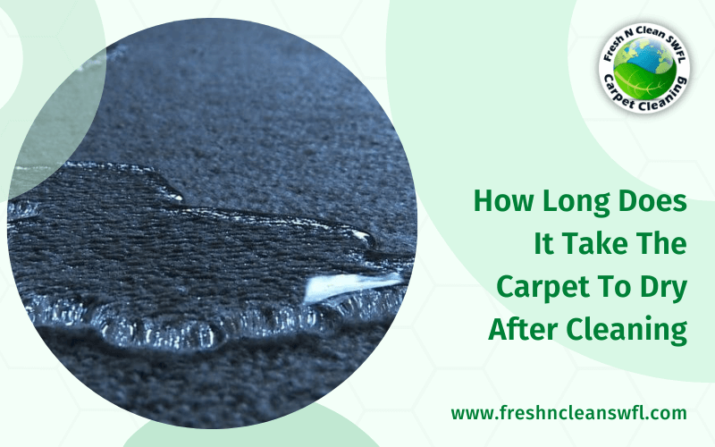 How Long Does It Take The Carpet To Dry After Cleaning