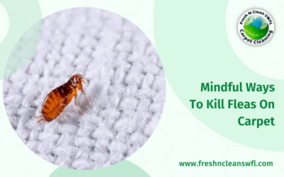 Mindful Ways To Kill Fleas On Carpet