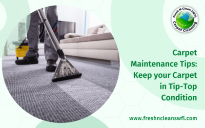 Carpet Maintenance Tips: Keep your Carpet in Tip-Top Condition