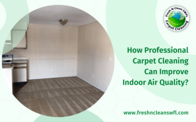 How Professional Carpet Cleaning Can Improve Indoor Air Quality?