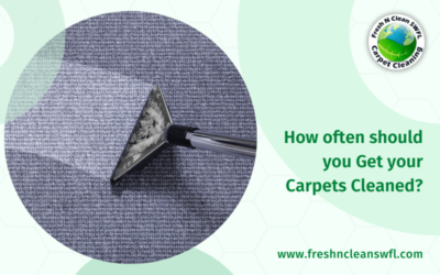 How often should you Get your Carpets Cleaned?