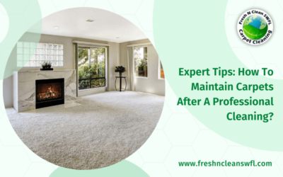 Expert Tips: How To Maintain Carpets After A Professional Cleaning?