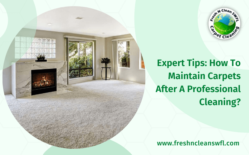 Tips To Preserve Your Carpets After A Professional Cleaning