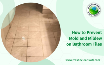How to Prevent Mold and Mildew on Bathroom Tiles