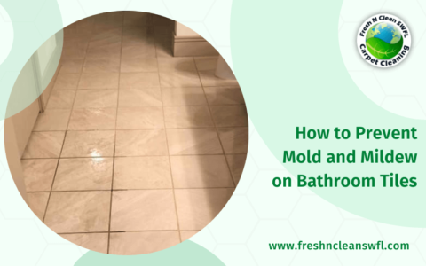 How To Prevent Mold And Mildew On Bathroom Tiles